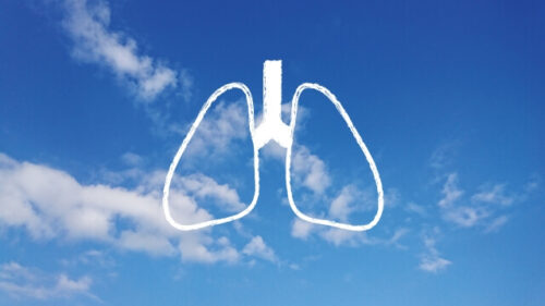 青空に肺のイラストの画像