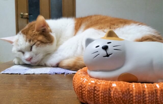 寝ている猫と同じ毛並みの猫型加湿器の画像